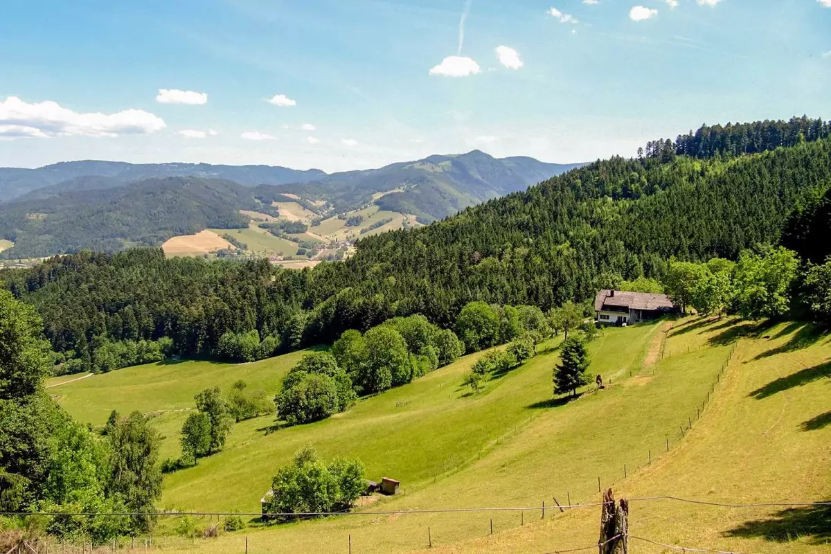 Savage Beauty Safari Adventure